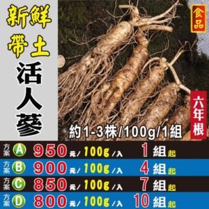 D4【新鮮活人蔘▪帶土蔘】✔韓庄▪錦山▪6年根
